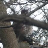 photo 2022-01-24 14-57-23 019