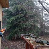 photo 2021-12-16 09-48-14