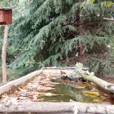 photo 2023-10-08 12-21-54