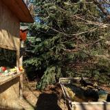 photo 2021-12-18 11-56-49