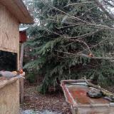 photo 2021-12-27 14-42-24