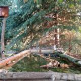 photo 2023-10-01 07-51-30