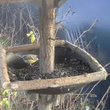 photo 2019-12-25 14-23-58