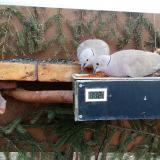 photo 2021-03-06 11-21-41