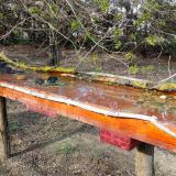 photo 2021-04-08 16-36-24