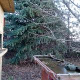 photo 2021-12-13 08-10-40