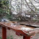 photo 2022-03-31 08-16-32