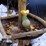 photo 2019-01-14 11-43-31