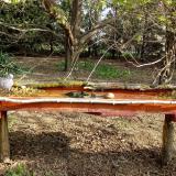 photo 2021-04-11 08-29-46