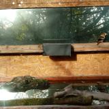 photo 2023-10-24 08-52-03