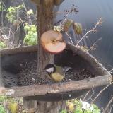 photo 2019-12-05 13-09-22