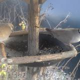 photo 2019-12-29 14-57-09