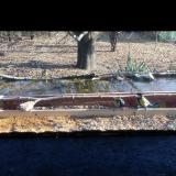 photo 2021-11-30 12-43-04