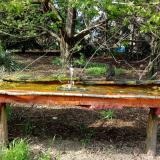 photo 2021-04-22 16-08-45