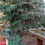 photo 2021-11-12 14-59-19