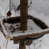 photo 2019-01-08 14-18-07