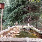 photo 2023-10-08 12-23-02