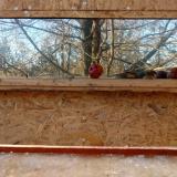 photo 2022-01-14 13-53-16