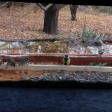 photo 2021-11-08 13-18-20