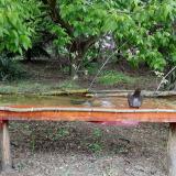 photo 2021-05-07 11-50-36