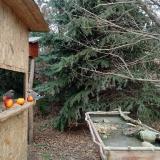 photo 2021-12-22 12-50-40