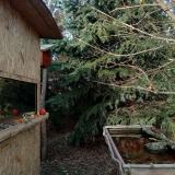 photo 2022-01-02 14-13-30