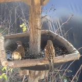 photo 2019-12-26 12-29-46