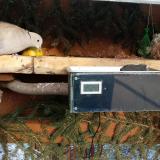 photo 2021-02-11 15-39-03