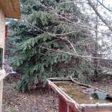 photo 2021-12-11 13-48-33