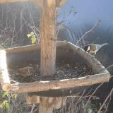 photo 2019-12-26 10-35-39