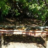 photo 2021-10-02 11-49-00