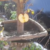 photo 2019-12-03 10-04-04