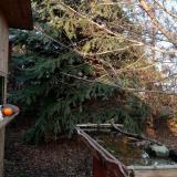 photo 2021-12-14 14-23-25