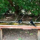 photo 2021-08-12 14-20-31