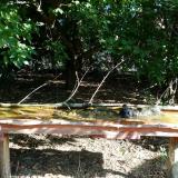 photo 2021-09-12 09-17-10