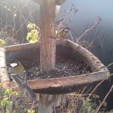 photo 2019-12-22 08-07-02