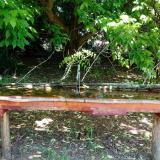 photo 2021-05-21 11-14-40