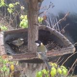 photo 2019-12-14 11-17-46