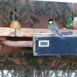 photo 2021-02-13 08-12-04