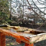 photo 2022-03-03 08-16-23