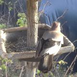 photo 2019-12-17 14-02-00