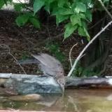 photo 2021-08-03 16-47-33 rigo