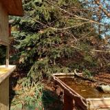 photo 2021-11-18 12-23-59