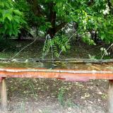 photo 2021-05-25 11-55-50