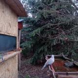 photo 2022-01-03 07-43-19