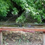 photo 2021-05-31 09-52-33