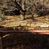 photo 2021-10-25 14-26-59