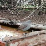 photo 2022-03-31 08-37-23 poszata