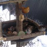 photo 2019-01-29 07-27-21