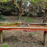 photo 2021-04-13 08-21-45